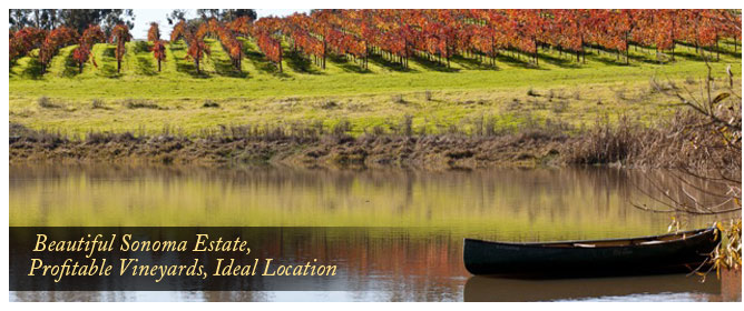 Roche Vineyard Estate