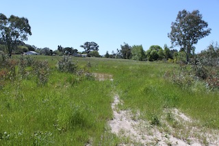 4.62 Acres Napa Rd (933 Napa Rd) AR5