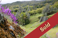 Chimney Rock Road Paso Robles, CA 93446 Chimney Rock Road Paso Robles, CA 93446