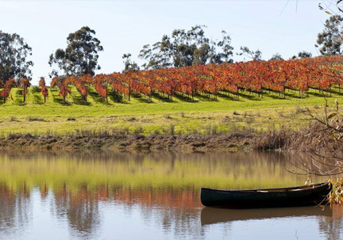 Beautiful Sonoma Estate, Profitable Vineyards, Ideal Location
