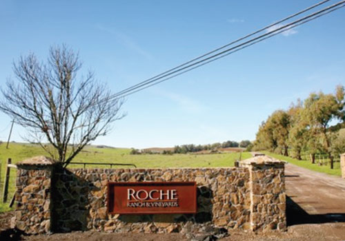 Beautiful Sonoma Estate, Profitable Vineyards, Ideal Location